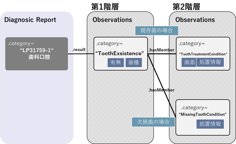 observation_dentaloral_structure.png