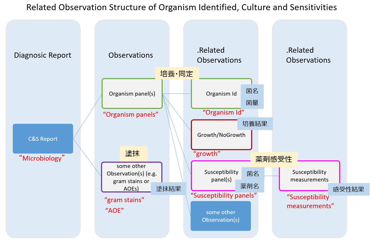 observation_microbiology_structure.png